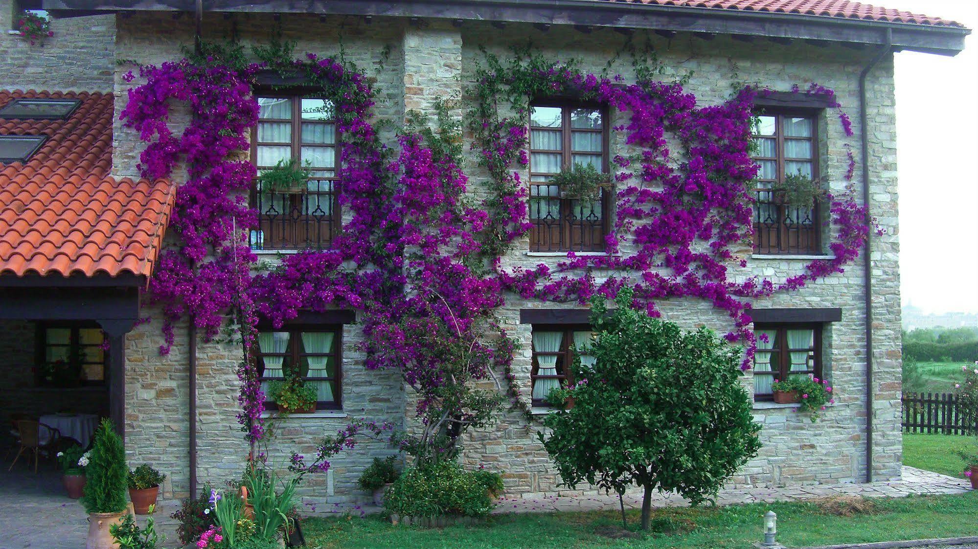 Hotel Rural Casona De Cefontes Kültér fotó